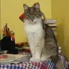 Отзыв от Евгения Фомичева
